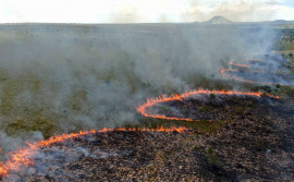 Unidades de Conservação geridas pelo Naturatins iniciam temporada de queimas prescritas
