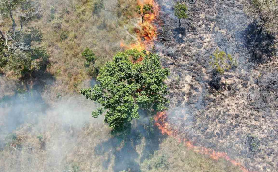 Unidades de Conservação geridas pelo Naturatins iniciam temporada de queimas prescritas