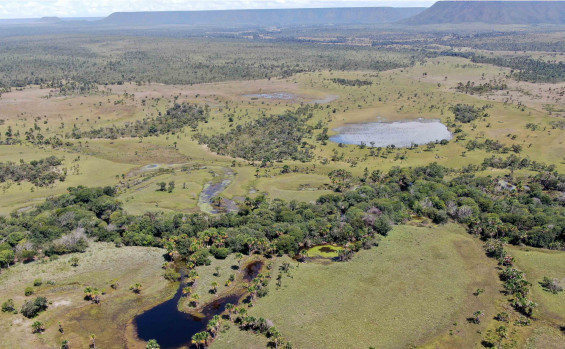 Unidades de Conservação geridas pelo Naturatins iniciam temporada de queimas prescritas