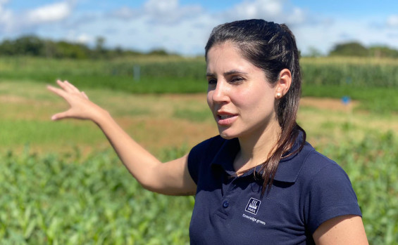 Expositores preparam vitrines tecnológicas de sementes de grãos e fórmulas de fertilizantes para Agrotins 2023