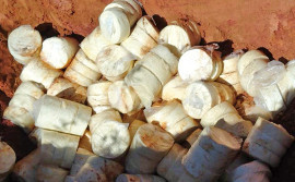 Adapec e PRF apreendem sete toneladas de queijos impróprios para consumo no posto fiscal em Gurupi