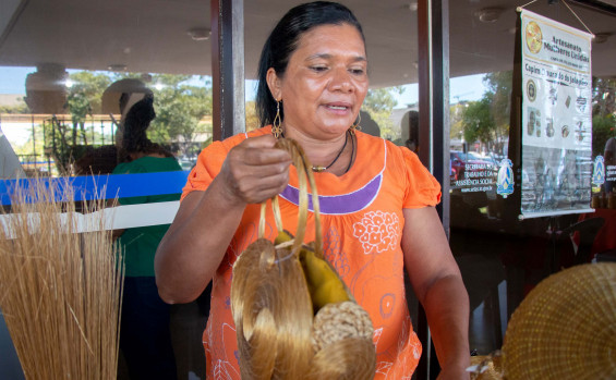 Governo do Tocantins e parceiros promovem Feira das Mulheres Agroextrativistas e de Agricultura Familiar de Ponte Alta 