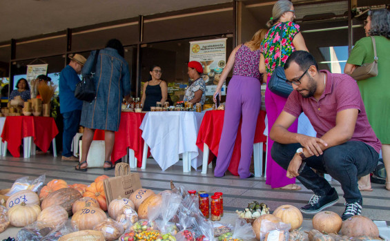 Governo do Tocantins e parceiros promovem Feira das Mulheres Agroextrativistas e de Agricultura Familiar de Ponte Alta 