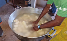 Seciju e Senar capacitam 18 custodiados em curso sobre Cultivo e Produção de Mandioca na Fazenda Penal de Cariri do Tocantins