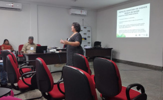 SES-TO realiza oficina regional com VISAS municipais da região do Bico do Papagaio