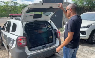 Polícia Civil do Tocantins cumpre mandados de prisão, busca e apreensão da Operação IL Padrino deflagrada pela PC-DF