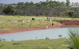 Governo do Tocantins cria comissão para dar agilidade na certificação do Cadastro Ambiental Rural no Estado