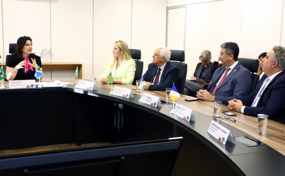 Vice-governador Laurez Moreira defende agroindústria tocantinense em reunião com ministra Simone Tebet
