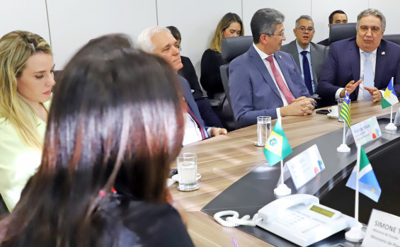 Vice-governador Laurez Moreira defende agroindústria tocantinense em reunião com ministra Simone Tebet