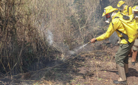 Corpo de Bombeiros abre inscrições de processo seletivo para formação de Brigadistas