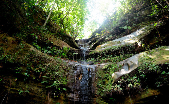 Patrimônio natural do Tocantins, o Parque Estadual do Lajeado completa 22 anos nesta quinta-feira, 11