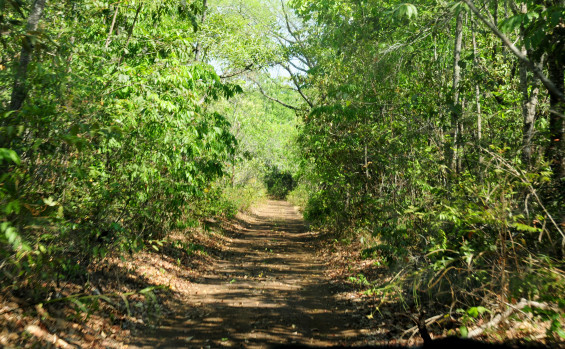 Patrimônio natural do Tocantins, o Parque Estadual do Lajeado completa 22 anos nesta quinta-feira, 11