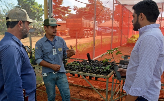 Na Agrotins, Ruraltins apresenta vitrines agrotecnológicas de cadeias produtivas para a agricultura familiar