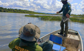 Naturatins realiza Operação Malha Fina e recolhe redes de pesca em ação na região do Bico do Papagaio