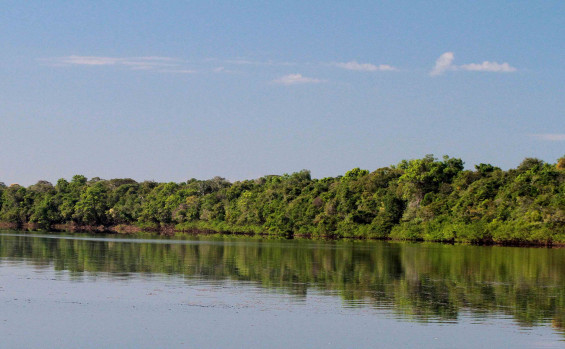 Com rica biodiversidade e mananciais de água, APAs Ilha do Bananal/Cantão e Serra do Lajeado completam 26 anos neste sábado, 20 