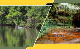 Com rica biodiversidade e mananciais de água, APAs Ilha do Bananal/Cantão e Serra do Lajeado completam 26 anos neste sábado, 20