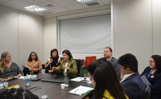Câmaras Técnicas de Epidemiologia e Comunicação discutem ações para os Estados
