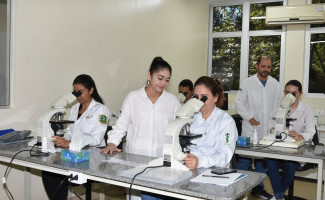 LACEN-TO realiza curso em diagnóstico parasitológico da Leishmaniose Tegumentar Americana