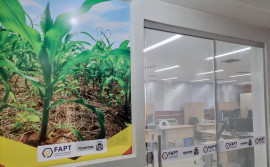 Fundação de Amparo à Pesquisa divulga resultado do Edital Fapt/CNPq - Jovens doutores no Tocantins