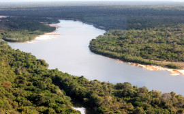 Naturatins alerta sobre prazo para manifestação de interesse em participar do conselho do Parque Estadual do Cantão que termina dia 14