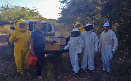 Ruraltins renova parceria com o Colégio Estadual Agropecuário de Natividade em visita técnica ao projeto instalado de apicultura