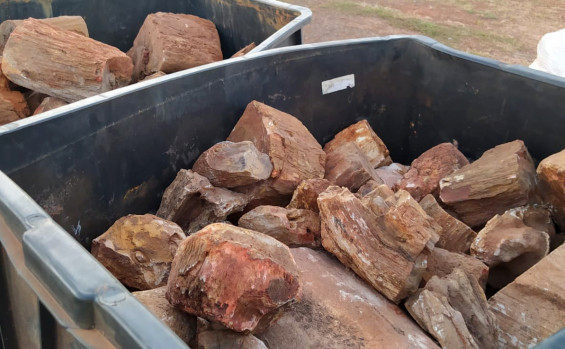 Materiais fósseis são repatriados ao Tocantins