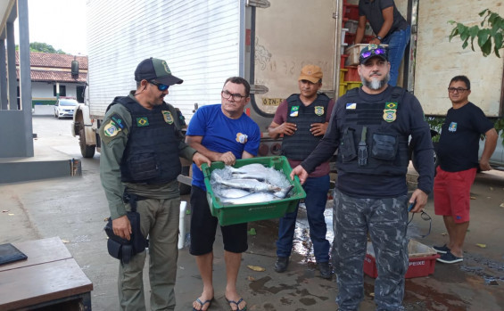 Operação do Naturatins apreende 7,2 mil kg de pescado no extremo norte do Estado