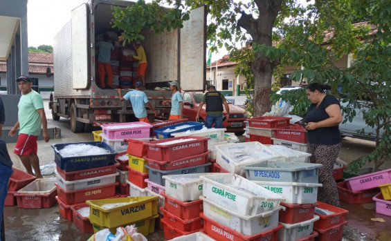 Operação do Naturatins apreende 7,2 mil kg de pescado no extremo norte do Estado