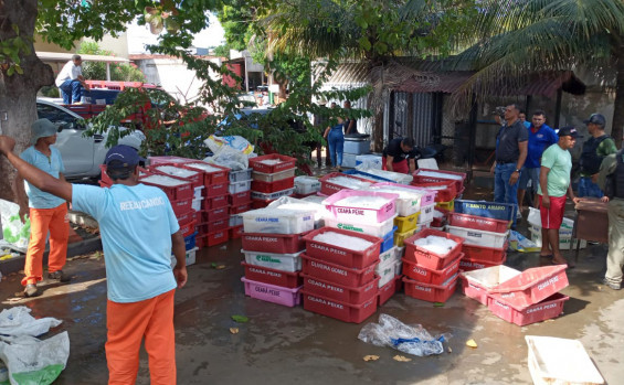 Operação do Naturatins apreende 7,2 mil kg de pescado no extremo norte do Estado