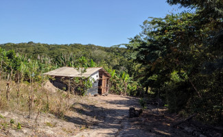Em Novo Acordo, Polícia Civil prende idoso condenado a 14 anos de prisão por estupro de vulnerável