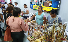 Governo do Tocantins promove feira de produtos agroextrativistas do Cerrado em Palmas
