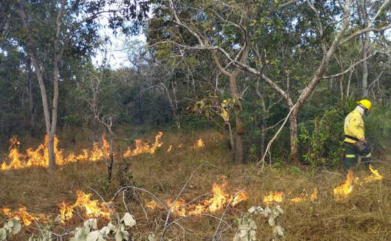 Naturatins inicia queima prescrita no Parque Estadual do Cantão