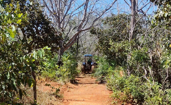 Naturatins inicia queima prescrita no Parque Estadual do Cantão