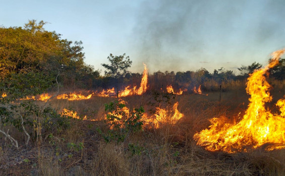 Naturatins inicia queima prescrita no Parque Estadual do Cantão