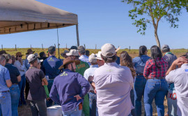Propriedade de cria, recria e genética é o segundo destino da Rota da Pecuária