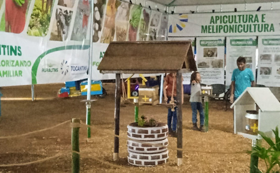 Ruraltins fortalece a agricultura familiar na ExpoCarmo 2023 com vitrines de piscicultura, criação de abelhas, palestras e atendimento ao público