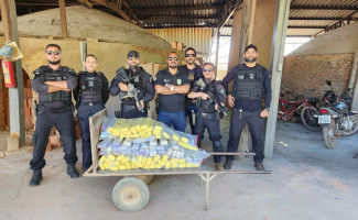 Em 14 dias, Polícia Civil incinera mais de 200kg de entorpecentes apreendidos em Gurupi e região