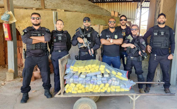 Polícia Civil incinera mais de 200 kg de entorpecentes apreendidos em Gurupi e região