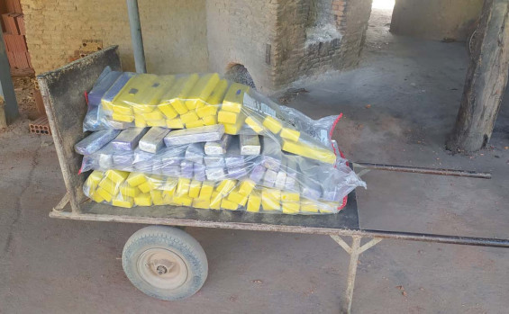 Polícia Civil incinera mais de 200 kg de entorpecentes apreendidos em Gurupi e região