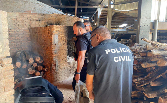 Polícia Civil incinera mais de 200 kg de entorpecentes apreendidos em Gurupi e região