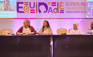 SES-TO participa de reunião do Programa Nacional de Equidade de Gênero, Raça e Valorização das Trabalhadoras no SUS
