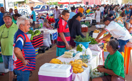 Com apoio do Governo do Tocantins, Feiras Ecosol geram renda para centenas de famílias no Bico do Papagaio