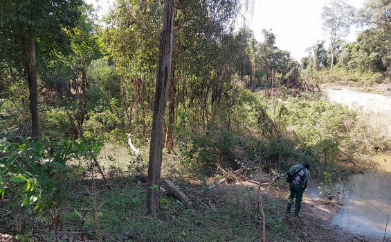 Naturatins realiza mapeamento da baunilha do Cerrado na região do Cantão