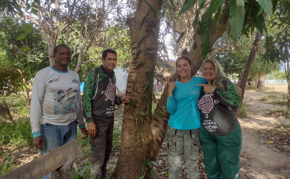 Naturatins realiza mapeamento da baunilha do Cerrado na região do Cantão