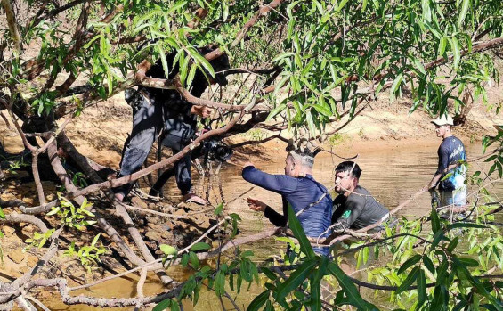 Equipe de fiscalização do Naturatins dá suporte a pesquisadores da Expedição Canguçu na Ilha do Bananal