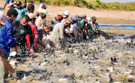 Governo do Tocantins avança no fortalecimento da pesca e aquicultura no Estado