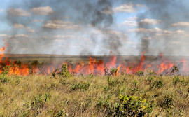 Naturatins suspende a emissão e a vigência das autorizações de queima controlada em todo o Tocantins