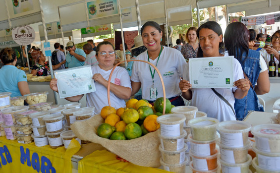 Com ações e programas, Governo do Tocantins investe no fortalecimento e no desenvolvimento da agricultura familiar
