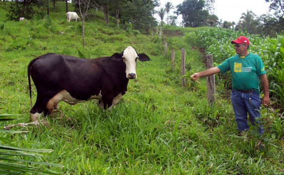 Com ações e programas, Governo do Tocantins investe no fortalecimento e no desenvolvimento da agricultura familiar