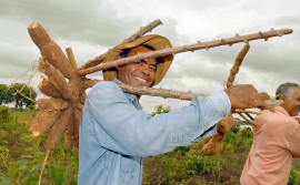 Com ações e programas, Governo do Tocantins investe no fortalecimento e no desenvolvimento da agricultura familiar